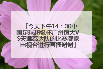 今天下午14：00中国足球超级杯广州恒大VS天津泰达队的比赛哪家电视台进行直播谢谢