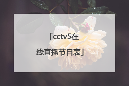 「cctv5在线直播节目表」cctv5体育节目在线直播