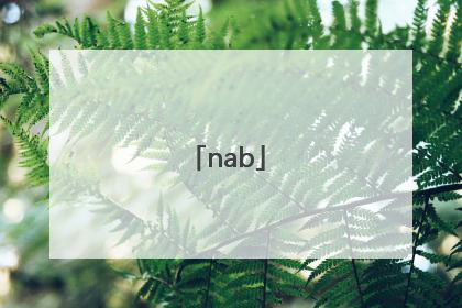 「nab」nabati