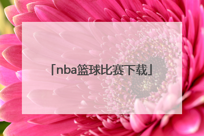 「nba篮球比赛下载」NBA篮球比赛作文